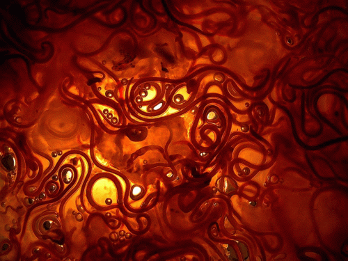 Parasitic Equilibrium : Swarm Demo MMXX